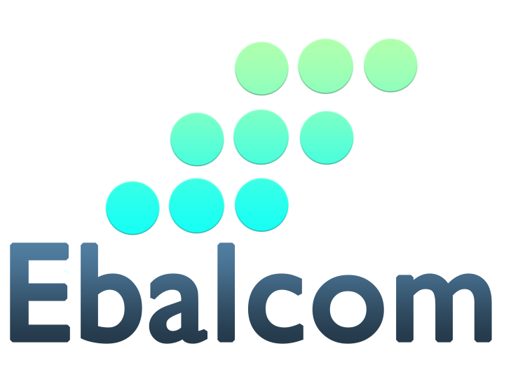Ebalcom Construction Group ERP and Website Development